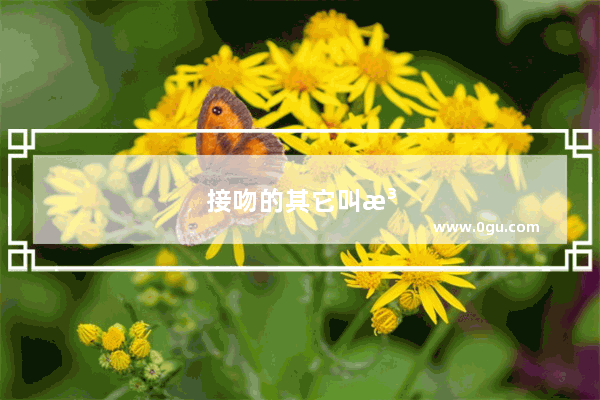 接吻的其它叫法