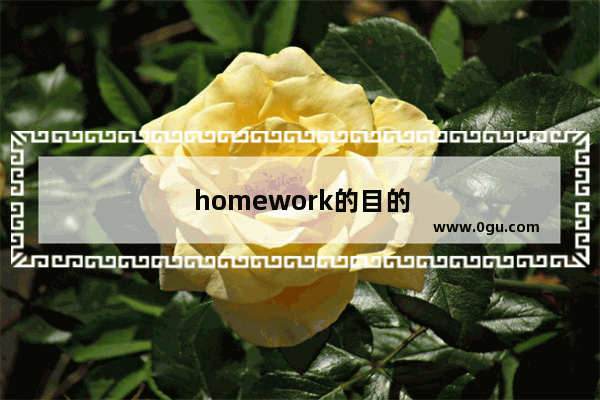 homework的目的