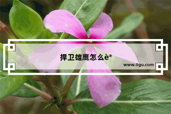 捍卫雄鹰怎么设置中文
