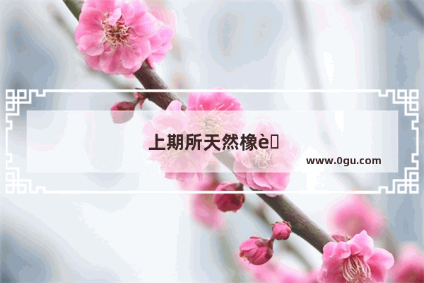 上期所天然橡胶交割标准品SCR WF是什么