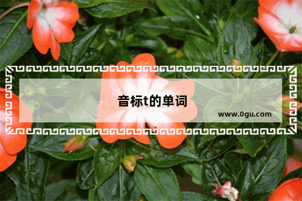 音标t的单词