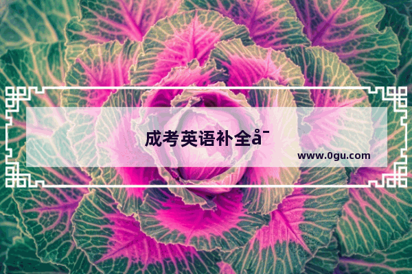 成考英语补全对话常用句子