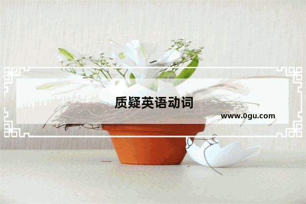 质疑英语动词