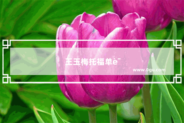 王玉梅托福单词怎么样