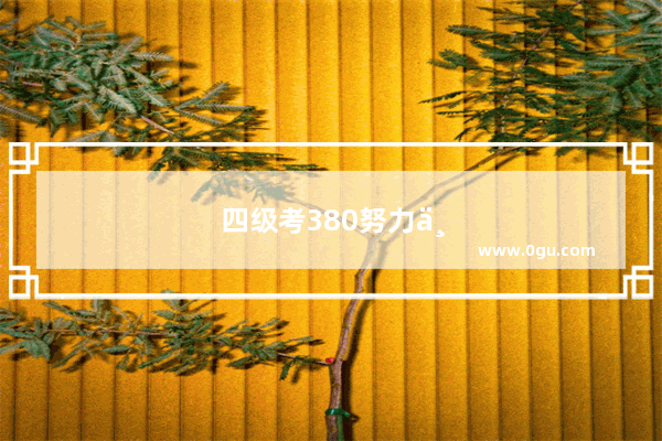四级考380努力下次能过吗