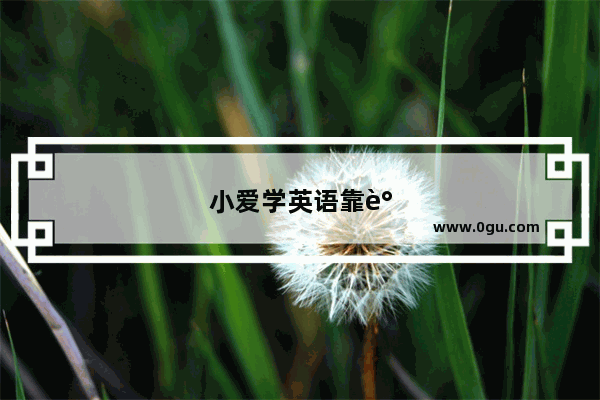小爱学英语靠谱吗