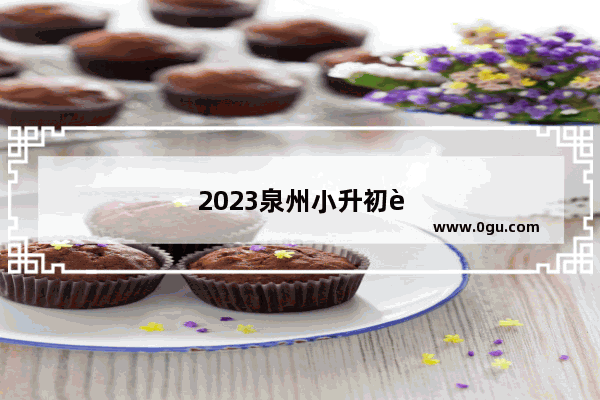 2023泉州小升初考试时间