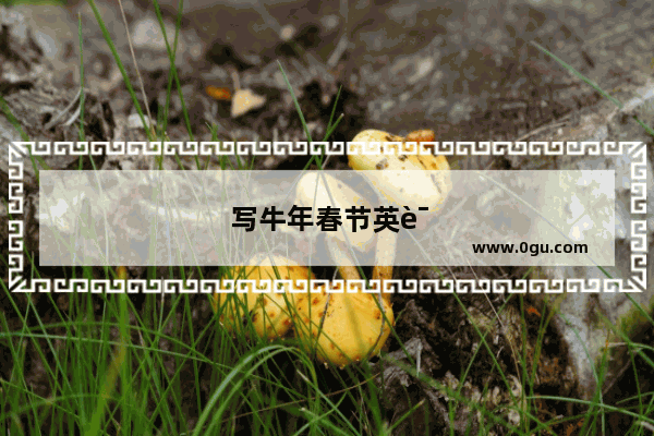 写牛年春节英语作文