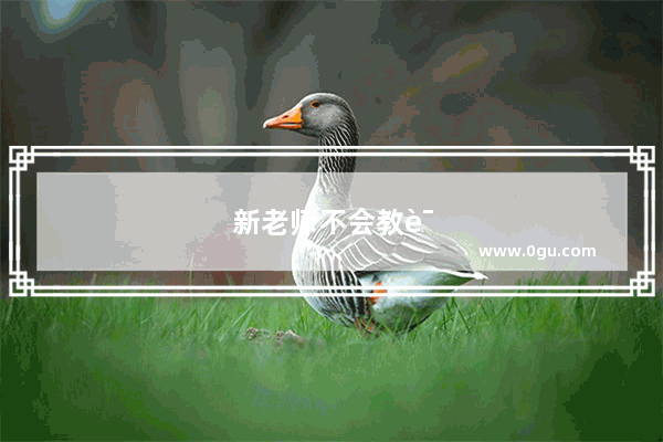 新老师不会教课怎么办