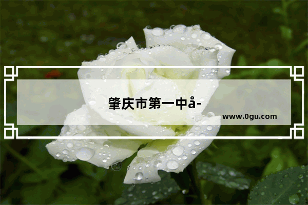 肇庆市第一中学初中2021分数线