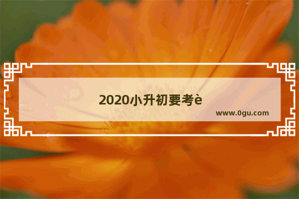 2020小升初要考英语吗