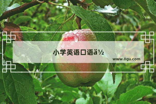 小学英语口语作业设计