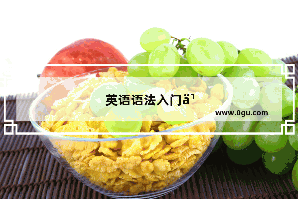 英语语法入门书籍