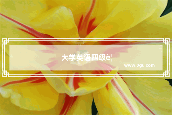 大学英语四级要交多少钱