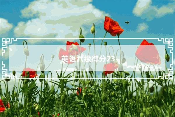 英语六级得分233