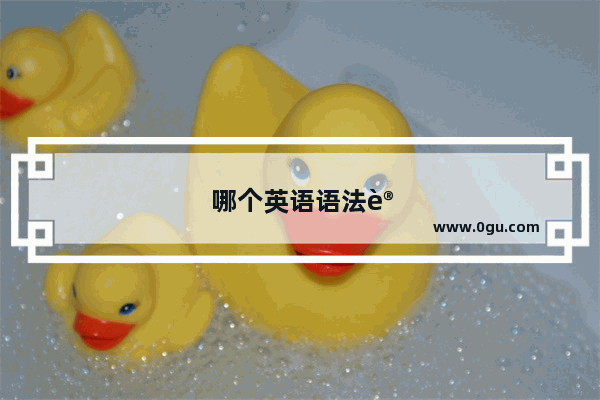 哪个英语语法讲的好