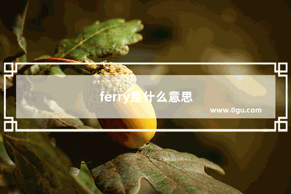 ferry是什么意思