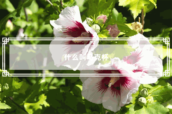 什么叫马克杯