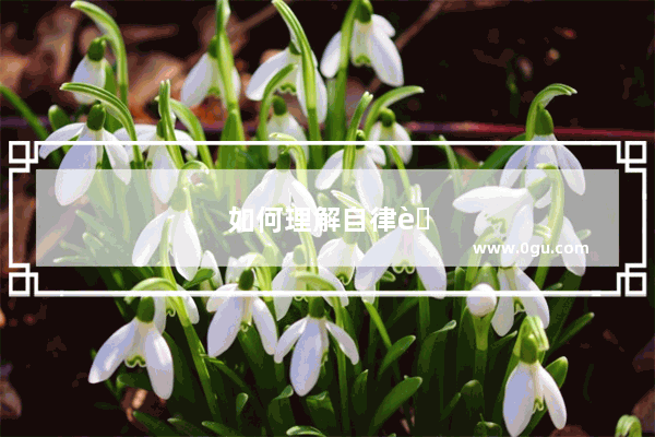 如何理解自律英语作文