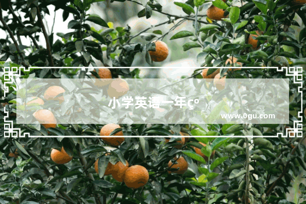 小学英语一年级起点和三年级起点什么意思