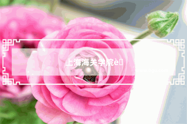 上海海关学院英语专业有什么限制