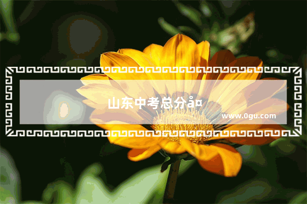 山东中考总分多少