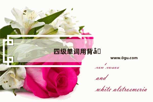 四级单词用背吗