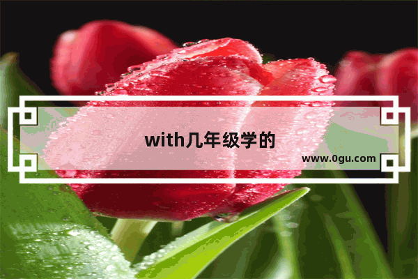 with几年级学的