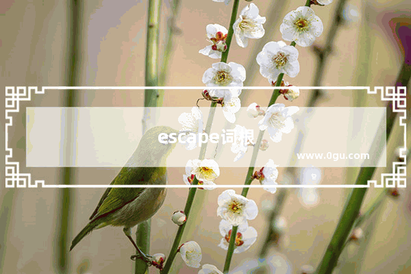 escape词根