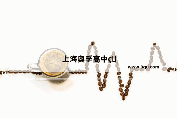上海奥孚高中班怎么样
