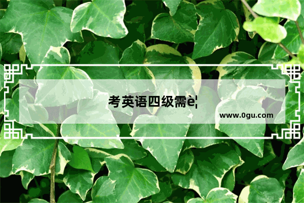 考英语四级需要什么条件
