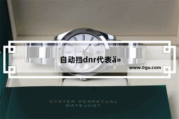 自动挡dnr代表什么