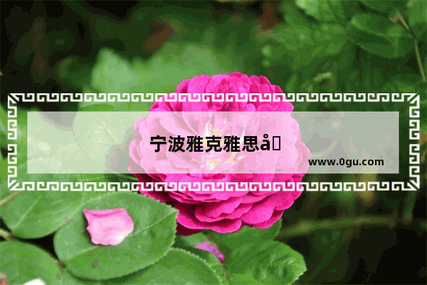 宁波雅克雅思在哪里