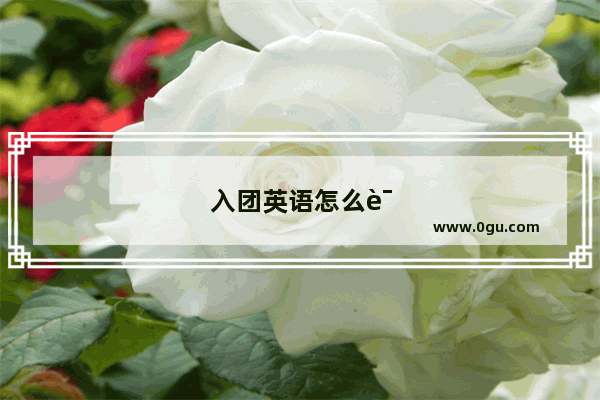 入团英语怎么说呢