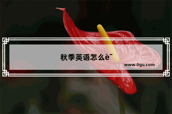 秋季英语怎么说读