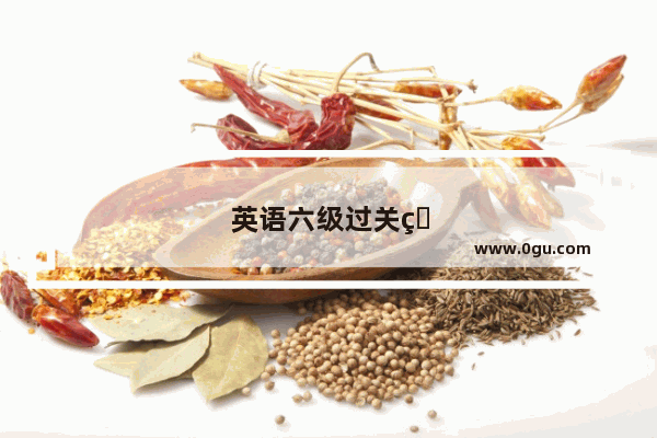 英语六级过关率