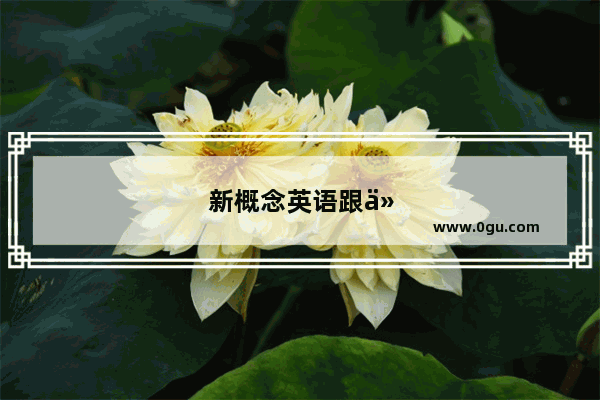 新概念英语跟什么练习册配套才能学到听说读写全面提高