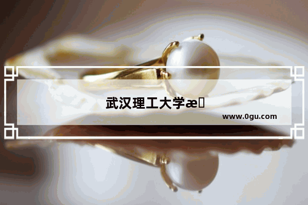 武汉理工大学托福考场