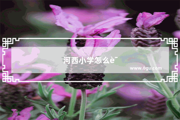 河西小学怎么读英语的