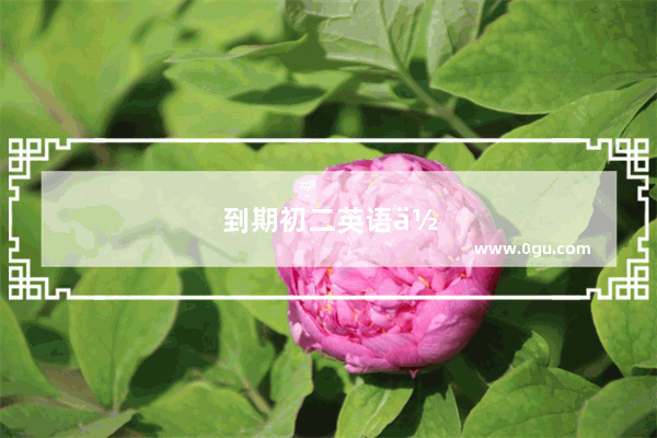 到期初二英语作文开头怎么写