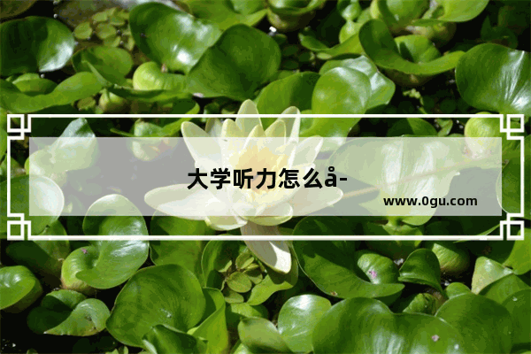 大学听力怎么学
