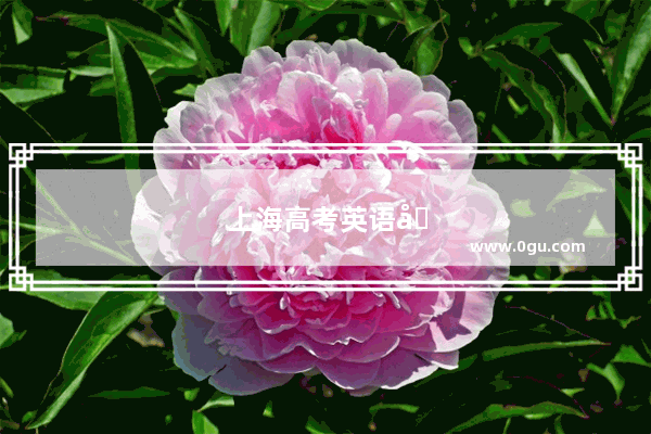 上海高考英语四级难度大吗知乎