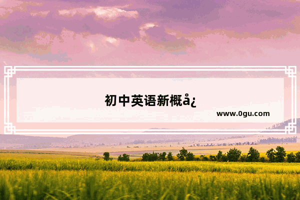 初中英语新概念和同步有什么区别