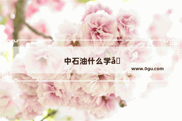 中石油什么学历可以进