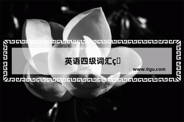 英语四级词汇用什么书