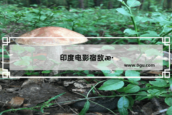 印度电影宿敌深度解析