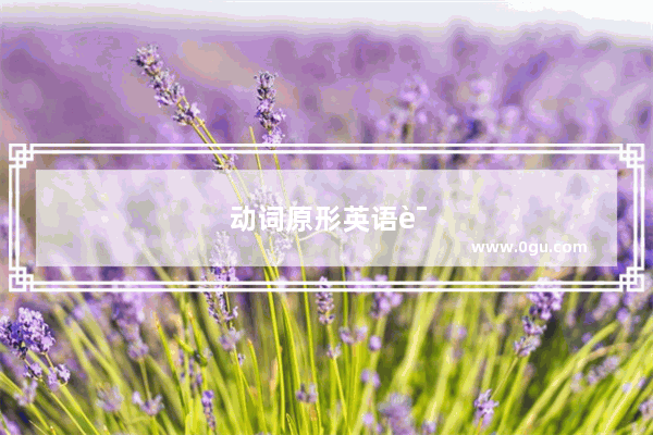 动词原形英语语法总结