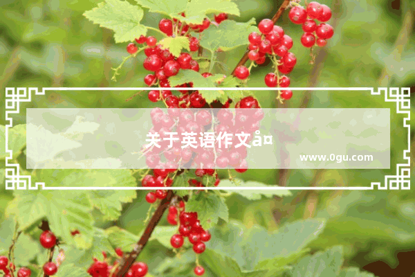 关于英语作文大学生活的作文