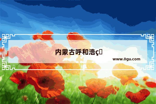 内蒙古呼和浩特市车牌