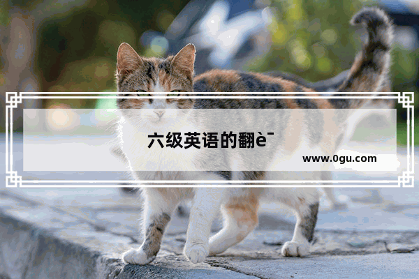 六级英语的翻译